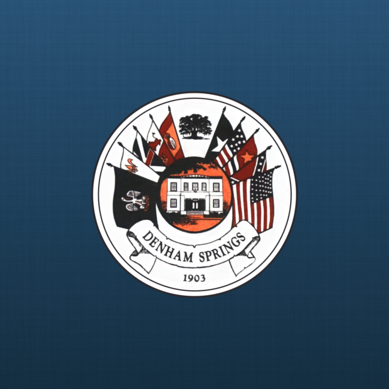 2025 Mardi Gras Parade Event Placeholder Image